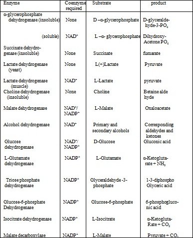 dehydrogenase requiring nicotinamide nucleotide coenzyme